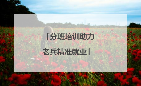 分班培训助力老兵精准就业
