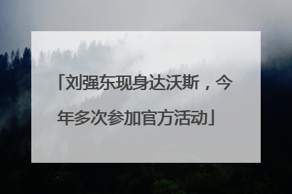 刘强东现身达沃斯，今年多次参加官方活动