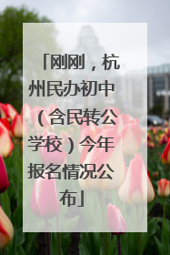 刚刚，杭州民办初中（含民转公学校）今年报名情况公布