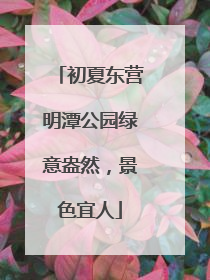 初夏东营明潭公园绿意盎然，景色宜人
