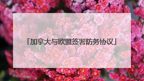 加拿大与欧盟签署防务协议