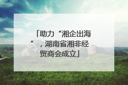 助力“湘企出海”，湖南省湘非经贸商会成立
