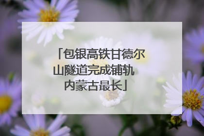 包银高铁甘德尔山隧道完成铺轨 内蒙古最长