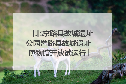 北京路县故城遗址公园暨路县故城遗址博物馆开放试运行