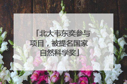 北大韦东奕参与项目，被提名国家自然科学奖