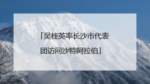 吴桂英率长沙市代表团访问沙特阿拉伯