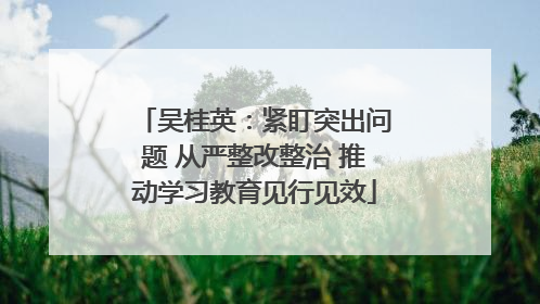 吴桂英：紧盯突出问题 从严整改整治 推动学习教育见行见效