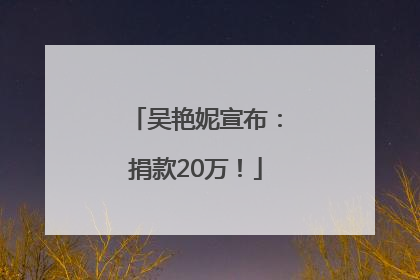 吴艳妮宣布：捐款20万！