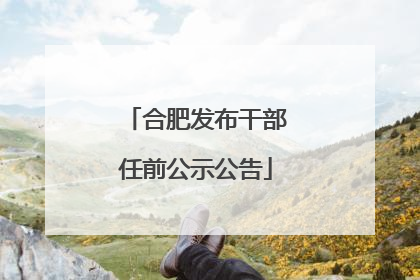 合肥发布干部任前公示公告