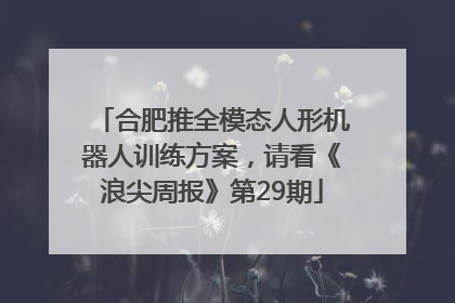 合肥推全模态人形机器人训练方案，请看《浪尖周报》第29期