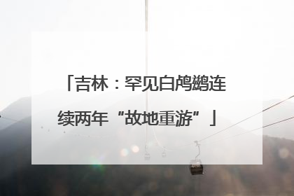 吉林：罕见白鸬鹚连续两年“故地重游”