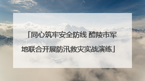 同心筑牢安全防线 醴陵市军地联合开展防汛救灾实战演练