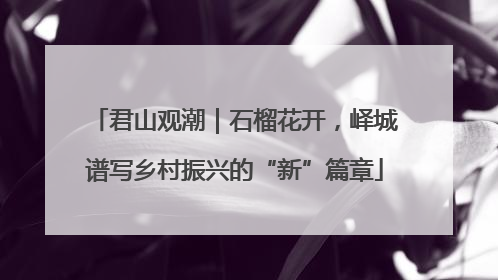 君山观潮｜石榴花开，峄城谱写乡村振兴的“新”篇章