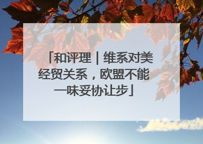 和评理｜维系对美经贸关系，欧盟不能一味妥协让步