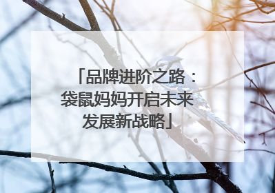 品牌进阶之路：袋鼠妈妈开启未来发展新战略