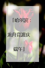 哈尔滨：龙舟竞渡庆端午