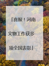 喜报！河南文物工作获多项全国表彰