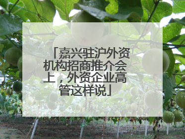 嘉兴驻沪外资机构招商推介会上，外资企业高管这样说