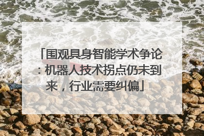 围观具身智能学术争论：机器人技术拐点仍未到来，行业需要纠偏