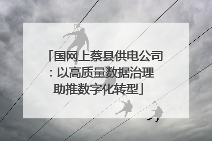 国网上蔡县供电公司：以高质量数据治理 助推数字化转型
