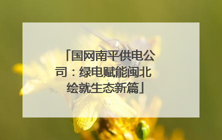 国网南平供电公司：绿电赋能闽北 绘就生态新篇