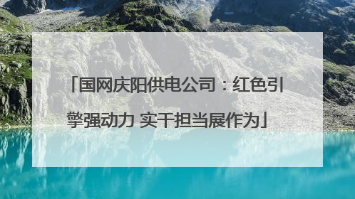 国网庆阳供电公司：红色引擎强动力 实干担当展作为