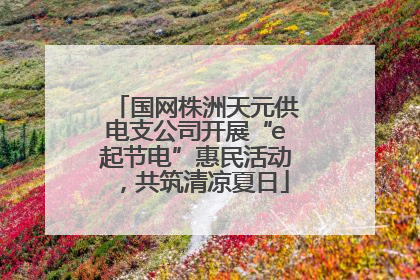 国网株洲天元供电支公司开展“e起节电”惠民活动，共筑清凉夏日