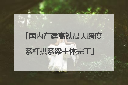 国内在建高铁最大跨度系杆拱系梁主体完工