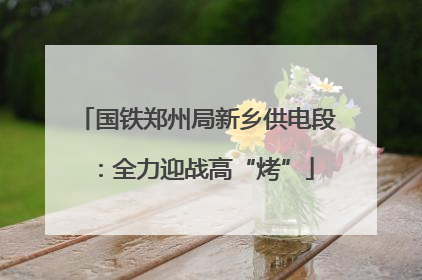 国铁郑州局新乡供电段：全力迎战高“烤”