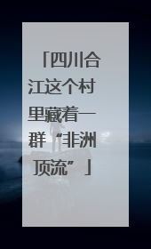 四川合江这个村里藏着一群“非洲顶流”