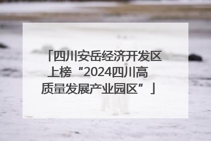 四川安岳经济开发区上榜“2024四川高质量发展产业园区”