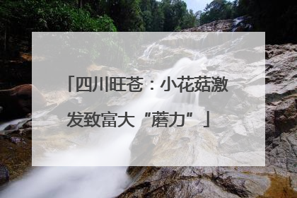 四川旺苍：小花菇激发致富大“蘑力”