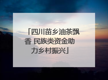 四川苗乡油茶飘香 民族类资金助力乡村振兴
