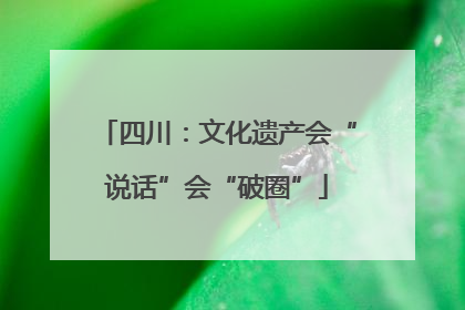 四川：文化遗产会“说话”会“破圈”