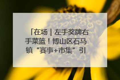 在场｜左手奖牌右手菜篮！博山区石马镇“赛事+市集”引燃周末经济