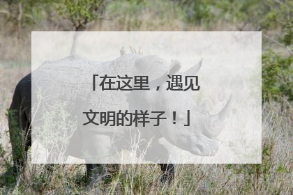 在这里，遇见文明的样子！