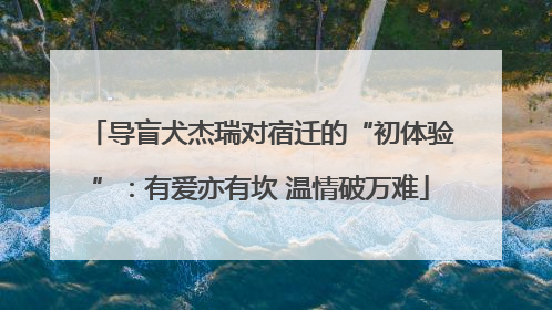 导盲犬杰瑞对宿迁的“初体验”：有爱亦有坎 温情破万难