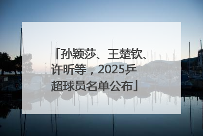孙颖莎、王楚钦、许昕等，2025乒超球员名单公布