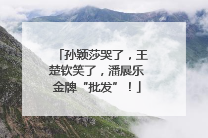 孙颖莎哭了，王楚钦笑了，潘展乐金牌“批发”！