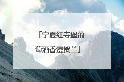 宁夏红寺堡葡萄酒香漫贺兰