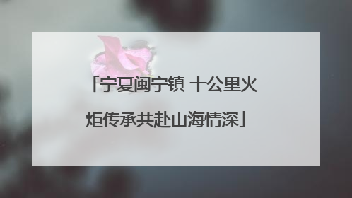宁夏闽宁镇 十公里火炬传承共赴山海情深
