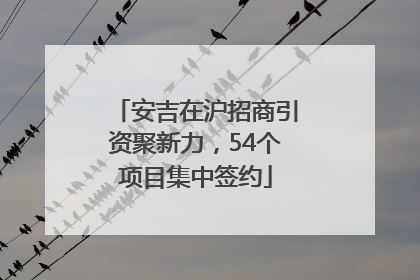 安吉在沪招商引资聚新力，54个项目集中签约