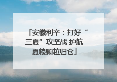 安徽利辛：打好“三夏”攻坚战 护航夏粮颗粒归仓