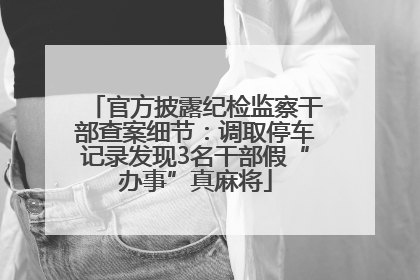 官方披露纪检监察干部查案细节：调取停车记录发现3名干部假“办事”真麻将