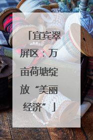 宜宾翠屏区：万亩荷塘绽放“美丽经济”