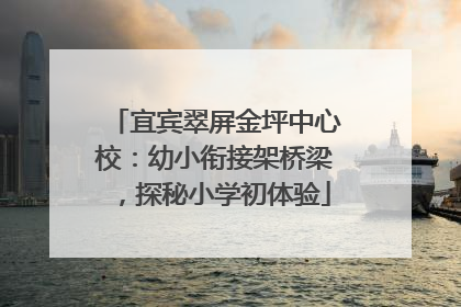 宜宾翠屏金坪中心校：幼小衔接架桥梁，探秘小学初体验