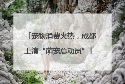 宠物消费火热，成都上演“萌宠总动员”