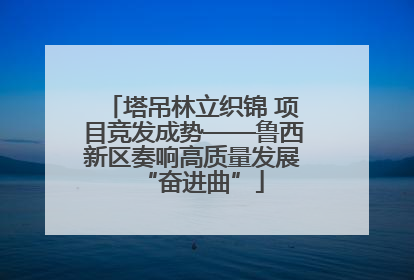 塔吊林立织锦 项目竞发成势——鲁西新区奏响高质量发展“奋进曲”