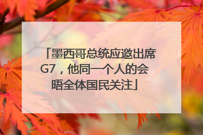 墨西哥总统应邀出席G7，他同一个人的会晤全体国民关注