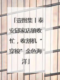 壹图集丨泰安邱家店镇收忙，收割机“穿梭”金色海洋